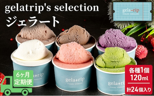 
										
										≪6ヵ月定期便≫gelatrip's selection ジェラート24個BOX
									