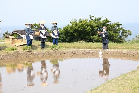 「佐渡の車田植」（国指定 重要無形民俗文化財） 北村家のコシヒカリ3kg （稲穂付き）