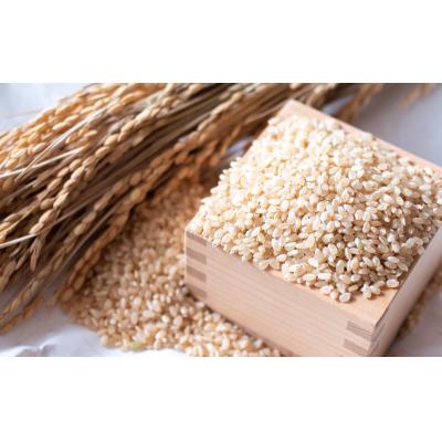 ふるさと納税 陸前高田市 令和7年度産 海の見える農園で作った玄米10kg ひとめぼれ |  | 01