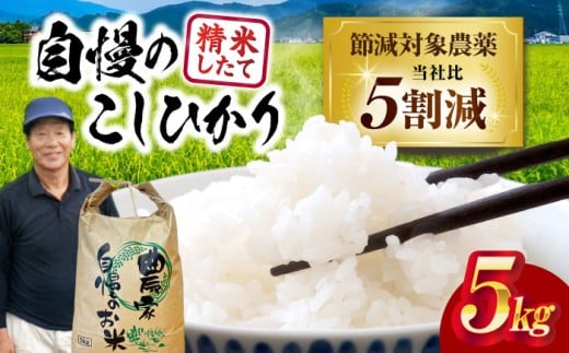 【令和7年産新米】 コシヒカリ 5kg 環境こだわり農産物 滋賀県長浜市/狩野農園 [AQDK001] 米 白米 こしひかり コシヒカリ 5kg 5キロ お米 滋賀県 長浜市 おすすめ 人気 精米 こだわり 艶 甘み 粘り ふっくら もっちり おいしいお米 おにぎり ご飯 白飯
