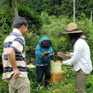ミツロウラップと季節のドライフラワーのセット　ギフトにもピッタリ【配送不可地域：離島】【1637757】