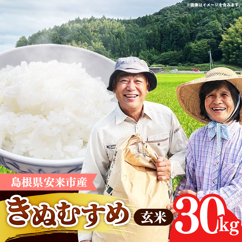 【先行受付】島根県安来市産 きぬむすめ 玄米 30kg 【令和7年産 新米 先行 予約 お米 こめ コメ 米 ごはん ご飯 国産 お弁当 美味しい 人気 おすすめ 島根県 安来市】【価格変更】