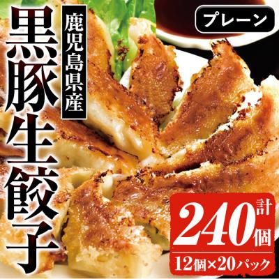 ふるさと納税 いちき串木野市 鹿児島黒豚生餃子 合計240個(12個×20P)タレ付き!国産野菜使用!【60日以内配送】