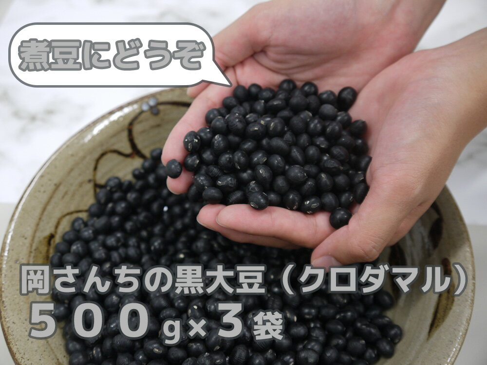 【ふるさと納税】佐賀県みやき町農家岡さんちの黒大豆クロダマル500g×3袋(BE027)