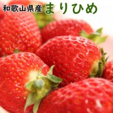 【5月より順次発送】和歌山県産ブランドいちご「まりひめ」300g×2パック入り(九度山町)