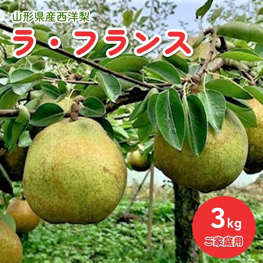 
                  西洋梨（ラ・フランス）３ｋｇ　ご家庭用　0010-2603
                