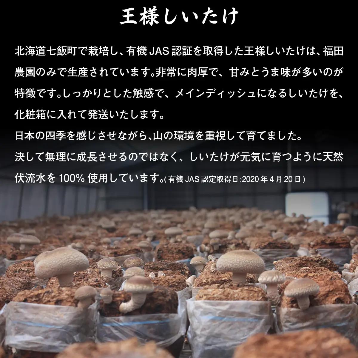 王様しいたけお試しセット (王様しいたけ・干ししいたけ・パウダー・だし) 福田農園 NAT005