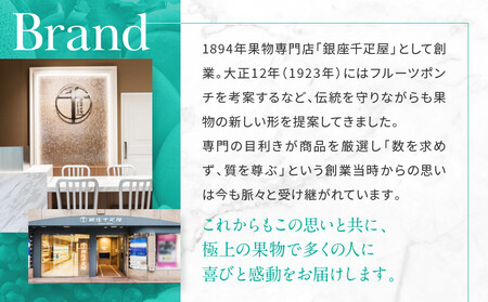 【銀座千疋屋】銀座フルーツチーズケーキ8個PGS-390｜果物専門店 人気スイーツ ご褒美スイーツ ｽｲｰﾂ ｽｲｰﾂ ｽｲｰﾂ ｽｲｰﾂ