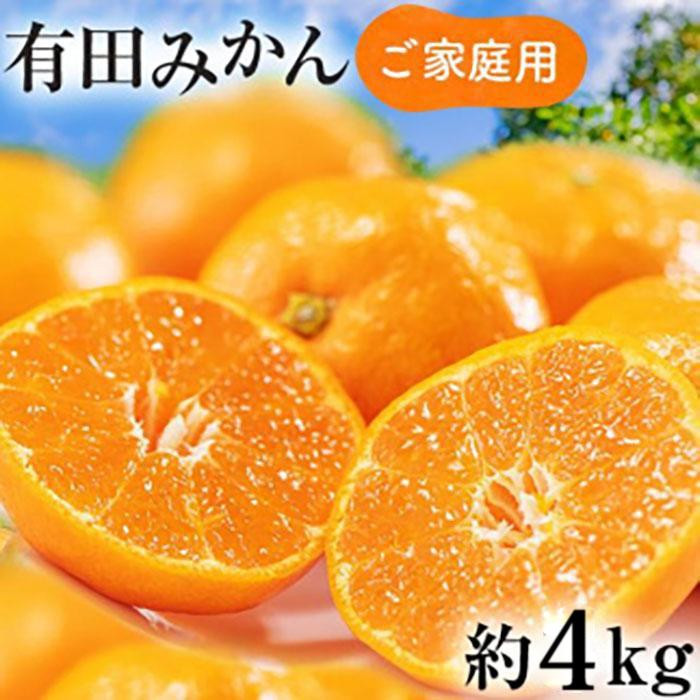 ご家庭用 濃厚完熟 有田みかん 約4kg【先行予約 2024年11月下旬～12月中旬発送 】農家直送 訳あり