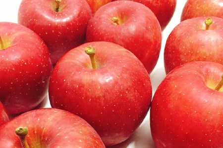 【先行予約2025年10月 発送開始】早生 ふじ 特選 約 5kg　りんご　青森 産　