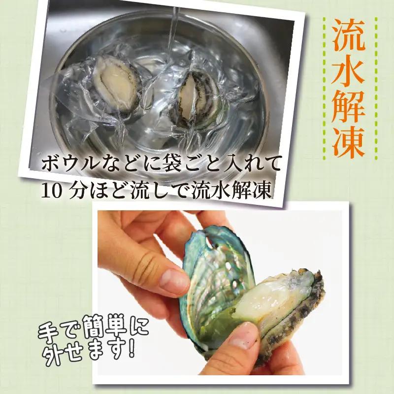 【2026年11月30日発送！！】 訳あり 三陸翡翠あわび 30g×6個