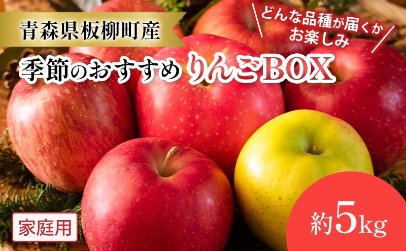 
                  【どんな品種が届くかお楽しみ】季節のおすすめりんごBOX/家庭用/詰め合わせ/約5kg　青森県　りんご　リンゴ　林檎　フルーツ　くだもの　果物
                