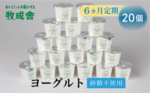 6回定期便 飛騨産ミルクと乳酸菌だけのプレーンヨーグルト20個 砂糖不使用 牧成舎 乳製品 定期便 お楽しみ 6ヵ月