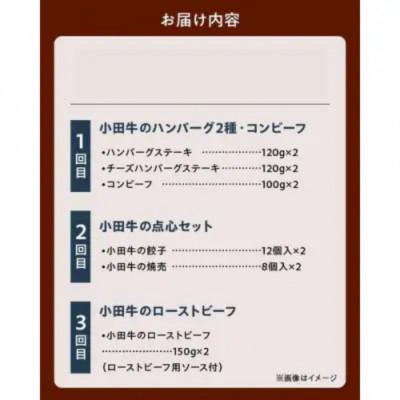 ふるさと納税 南九州市 【毎月定期便】「小田牛」定期便〜加工品づくし〜全3回 |  | 03