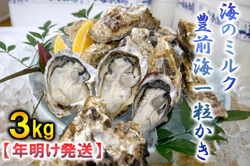 【ふるさと納税】【年明け発送】海のミルク・豊前海一粒かき（3kg）_AG-004　かき、カキ、牡蠣