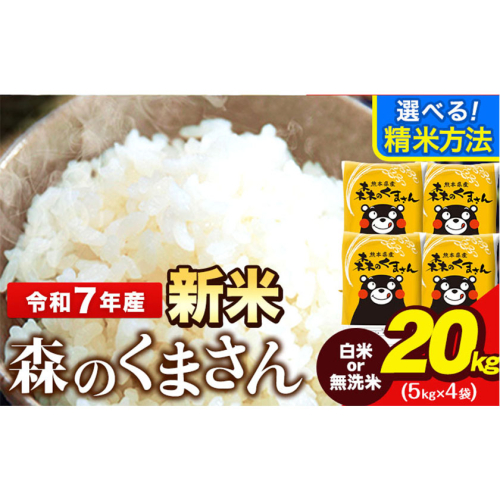 新米 令和7年産 無洗米 も 選べる 森のくまさん 20kg 5kg × 4袋  白米 熊本県産 単一原料米 森くま《12月中旬-2月末頃出荷》《精米方法をお選びください》送料無料
