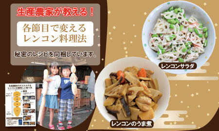 【先行予約】佐賀県産泥付きレンコン（3kg） レンコン 蓮根 野菜 れんこん A085-021