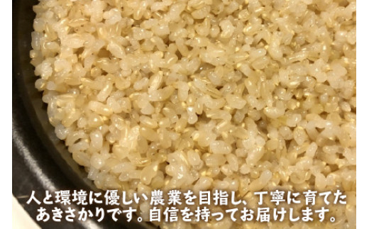 【令和6年産】 福井県産 あきさかり 玄米 30kg 若狭の恵 [BFAG015]