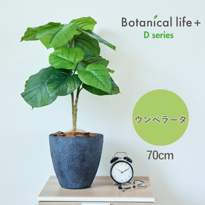 フェイクグリーン Botanical life+ Dシリーズ ウンベラータ 70cm 光触媒加工 鉢付き インテリア 抗菌 消臭 愛知県 豊橋市 送料無料 41000円
