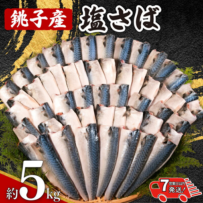 【ふるさと納税】 銚子産 塩さば 5kg 【 スピード配送 】 銚子港 国産 さば 鯖 塩さば 塩鯖 適塩 適塩さば さばフィーレ フィレ 人気 切り身 切身 無添加 添加物不使用 お取り寄せ グルメ 大容量 ふるさと納税 ふるさと納税さば 送料無料 千葉県 銚子市 エドノフーズ