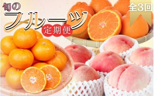 【３回定期便】【1・3・7月発送】旬のフルーツ定期便 【田村みかん 紀州デコ(不知火) 桃】 和歌山の旬をお届け / みかん ミカン 温州みかん 有田みかん 不知火 デコポン 桃 もも モモ 柑橘 フルーツ 果物 くだもの 旬 人気 甘い 定期便【tkb313】