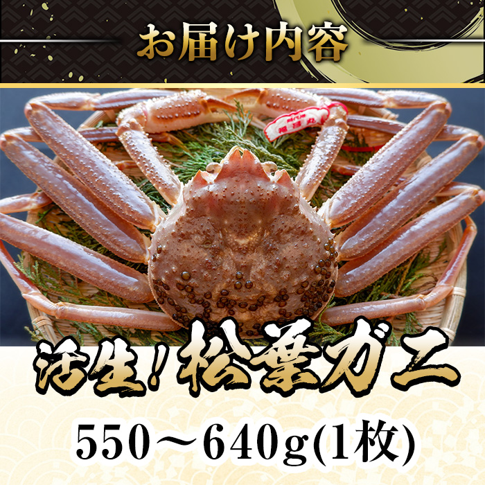 ＜平日着※指定日不可＞＜期間限定＞＜11月中旬～3月中旬発送予定＞松葉ガニ 活生(550〜640g・1枚)【sm-DD044-A】【Workplays】