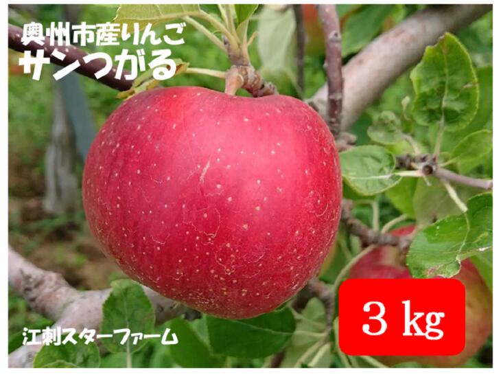 【ふるさと納税】 【スターファーム】 こだわり栽培の サンつがる 厳選品 3kg 岩手県奥州市産りんご 産地直送 フルーツ 離島配送不可 [AY005]