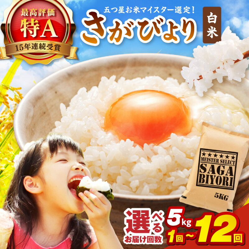 【ふるさと納税】《マイスターセレクト》さがびより【白米】5kg ＜回数が選べる／1回・3回・6回・12回 ＞【 米 白米 精米 さがびより 特A 定期便 5kg 15kg 30kg 60kg 】