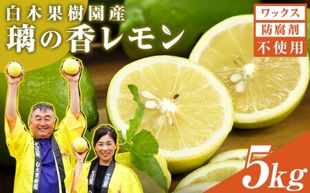【先行予約】レモン 約5kg 12?25個〈2026年10月下旬?12月上旬頃発送〉  / 璃の香レモン 果物 くだもの 柑橘 フルーツ れもん お取り寄せ 産地直送 おいしい 美味しい 白木果樹園 常温 配送 高知県 高知 土佐市【白木果樹園】 [BQAI026]