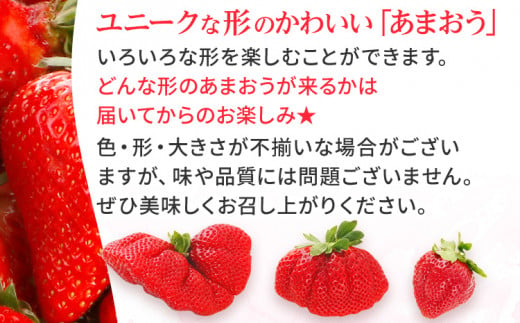 《先行予約》【アフター保証】いちご あまおう 大木町 約250g×2パック 合計500g 【2027年2月～3月に順次出荷予定】 イチゴ あかい まるい おおきい うまい CB223-2P-b
