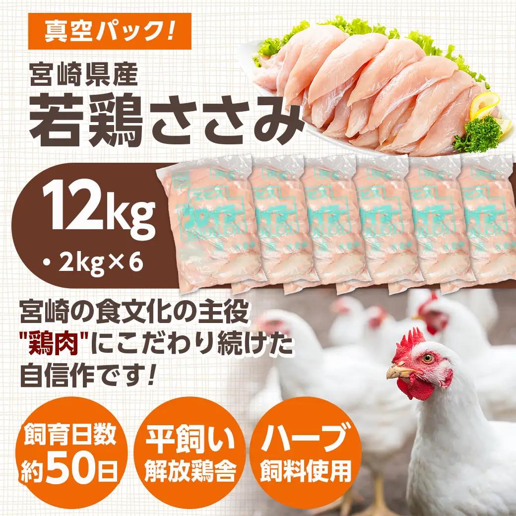 宮崎県産若鶏 ささみ(12kg)〔24-G301〕_(都城市)