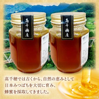 ふるさと納税 高千穂町 日本みつばち 高千穂の純粋蜂蜜 245g×2本 |  | 01