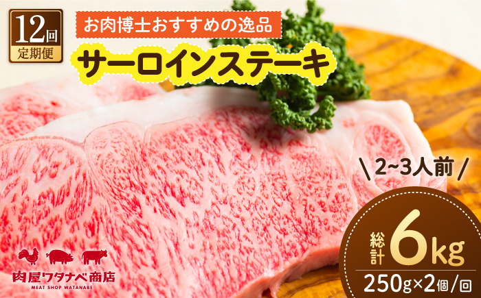
            【12回定期便】 長崎和牛 サーロインステーキ 250g×2枚 長与町/ワタナベ商店 [ECT012]
          
