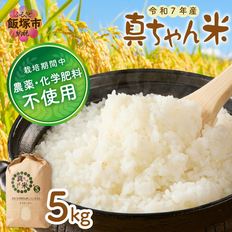 【ふるさと納税】★レビューキャンペーン実施中★【令和7年産】農薬・化学肥料不使用 真ちゃん米 5kg 【B6-026】【20250303_2レビューCP】