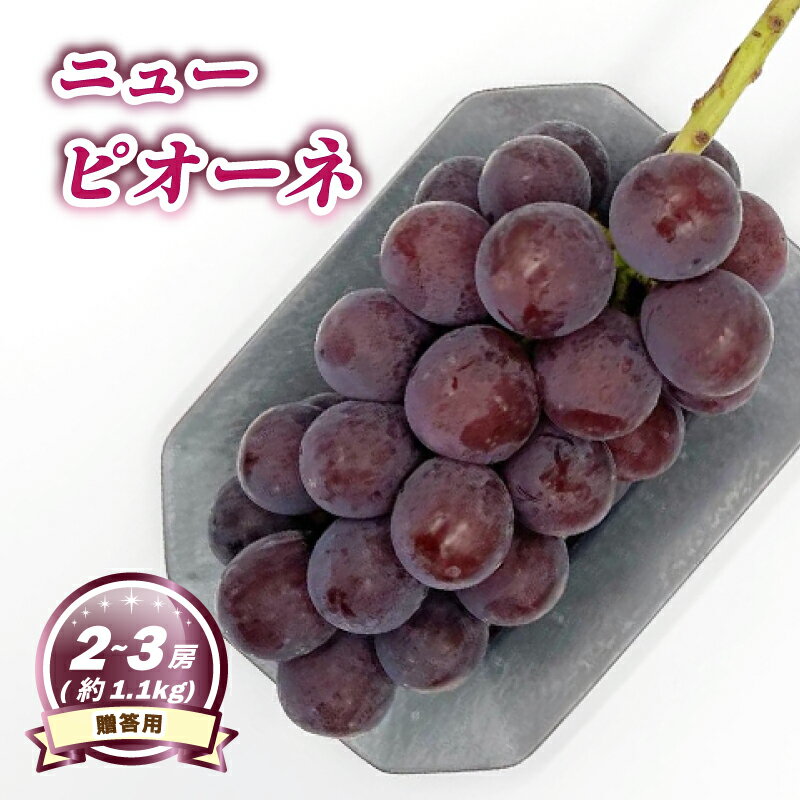 【ふるさと納税】【8月下旬頃から発送】 ニューピオーネ 約1.1kg ( 2~3房 ) 贈答用 | ぶどう ニューピオーネ 贈答 種なし 大粒 数量限定 愛媛県産 松山市
