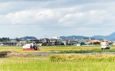 【ポスト投函】 炊き込みご飯の素 博多かしわめし 2～3人前 (2合用 109g) レトルト 福岡県 はかた地どり
