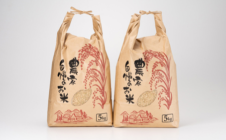 【令和7年産】新米コシヒカリ 村の「一等米」10kg(玄米5kg×2袋) 岡山県産のお米【1489807】