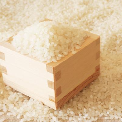 ふるさと納税 芦屋町 【令和7年産】福岡県産ブランド米「元気つくし」無洗米10kg |  | 02