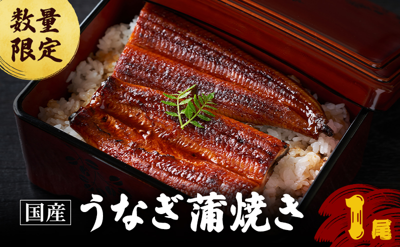 鰻 数量限定 国産 うなぎ蒲焼 1尾 国産鰻 蒲焼 うなぎの蒲焼き 惣菜 おかず 魚介 冷凍