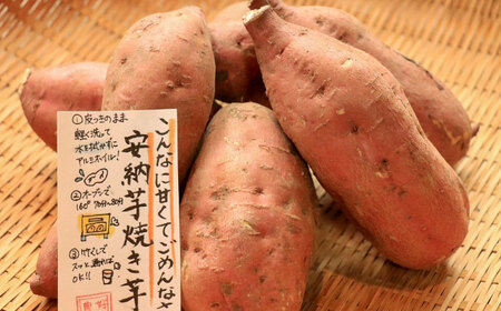 さつまいも【熟成】プチサイズ安納芋 3kg[AQCF002]サツマイモ