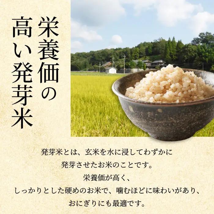 米【3か月定期便】三原の絶景白滝山麓の美味しいお米 胚芽米 3.5kg×3回 減農薬 瀬戸内ビオファーム ご飯 おこめ 002019