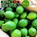 【ふるさと納税】国産レモン A品 約3kg 県認証特別栽培 熊本県産 グリーン レモン れもん 果物 檸檬 レモン果汁 フルーツ 料理 柑橘類 九州産 国産 防腐剤・ワックス不使用 送料無料【2024年9月上旬-2024年10月下旬発送予定】