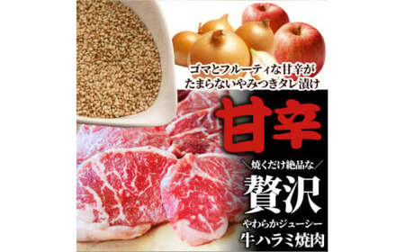 やわらか牛ハラミ焼肉　秘伝のタレ漬け500g(250g×2P)_mk146-025