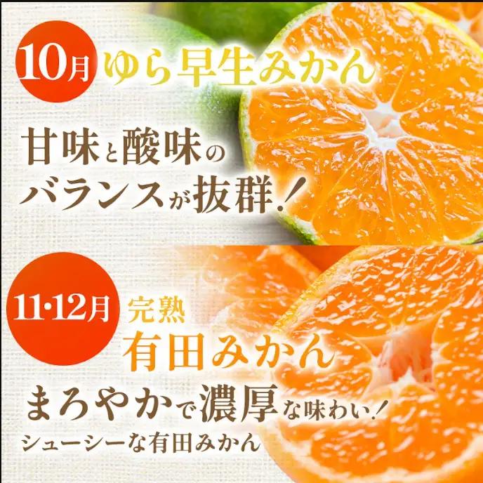 【定期便】家庭用 柑橘定期便 S 3回（7～9月）※北海道・沖縄・離島への配送不可※7月・8月・9月に発送