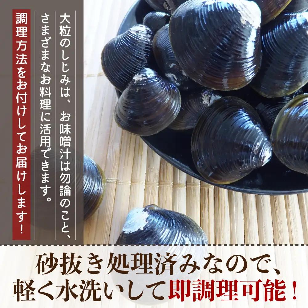 しじみ 800g 大粒大和しじみ（冷凍）砂抜き済 十三湖