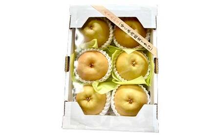 『令和7年産先行受付』 山形県産 和梨 6玉 ※品種おまかせ 秀品 約1.8kg~2kg 梨 洋梨 フルーツ 果物 くだもの 山形県 中山町 F4A-0465