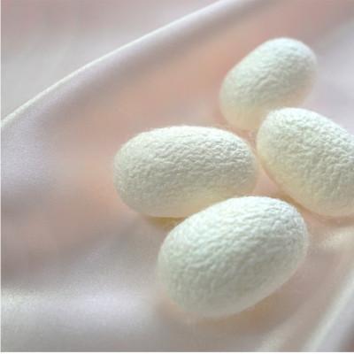 ふるさと納税 和歌山市 【セミダブルセット】ピュアシルク敷パッド1枚&枕パッド(M)1枚  SCC-1220/4363 |  | 03