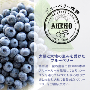 【中粒】 冷凍 ブルーベリー 500g ベリー ［h290011］