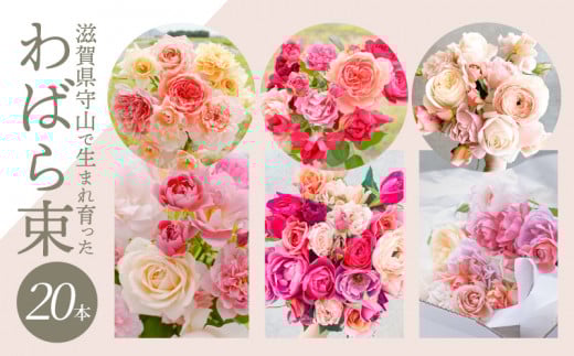 わばら束20本　【2月お届け】 WABARA  摘みたて ブーケ 花束 Rose Universe