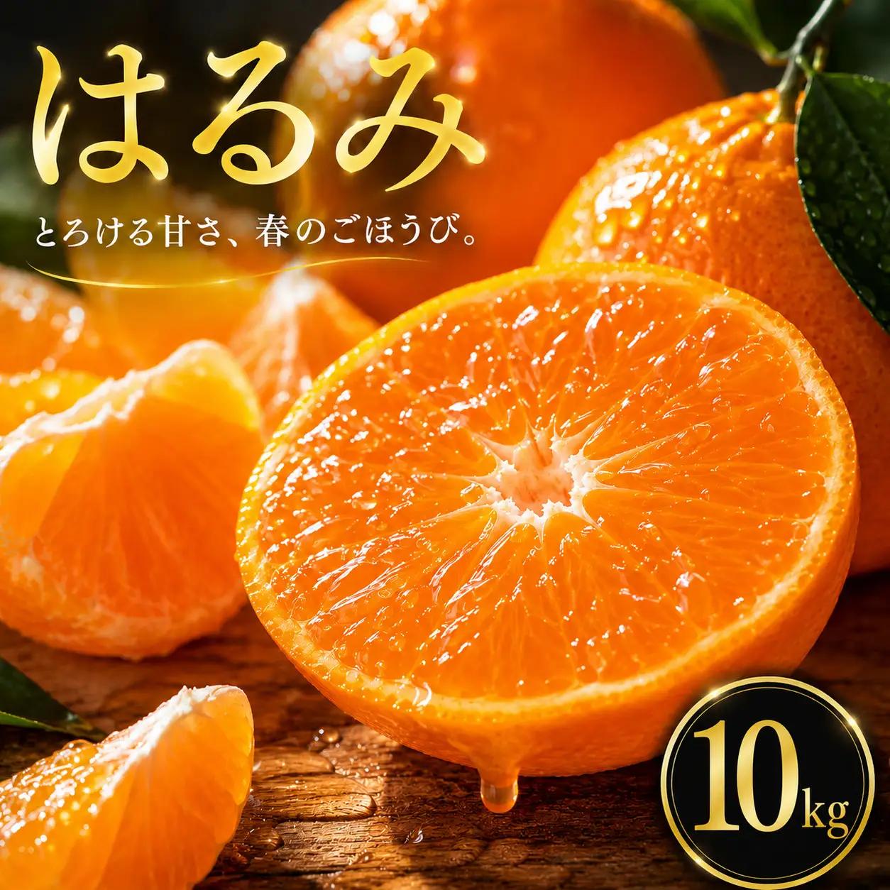 はるみ 家庭用 10kg 【2027年2月中旬頃から順次発送】 | みかん ミカン mikan 蜜柑 訳ありフルーツ 柑橘 果物 おすすめ お勧め お取り寄せ ギフト 愛媛県 松山市 【MKN032】